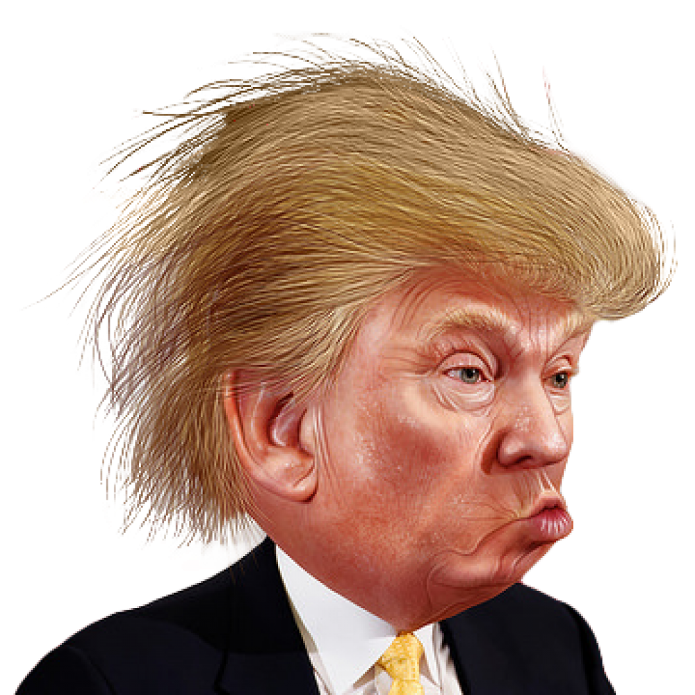 Funny Caricature Trump Color Face Hair Donald PNG Image