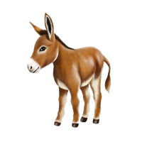 Donkey Free HD Image PNG