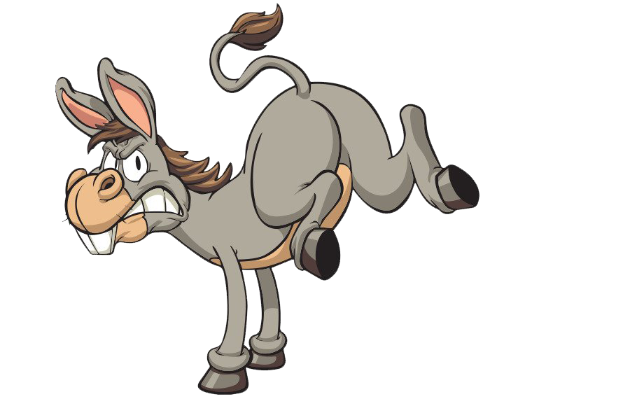 Picture Donkey PNG File HD PNG Image