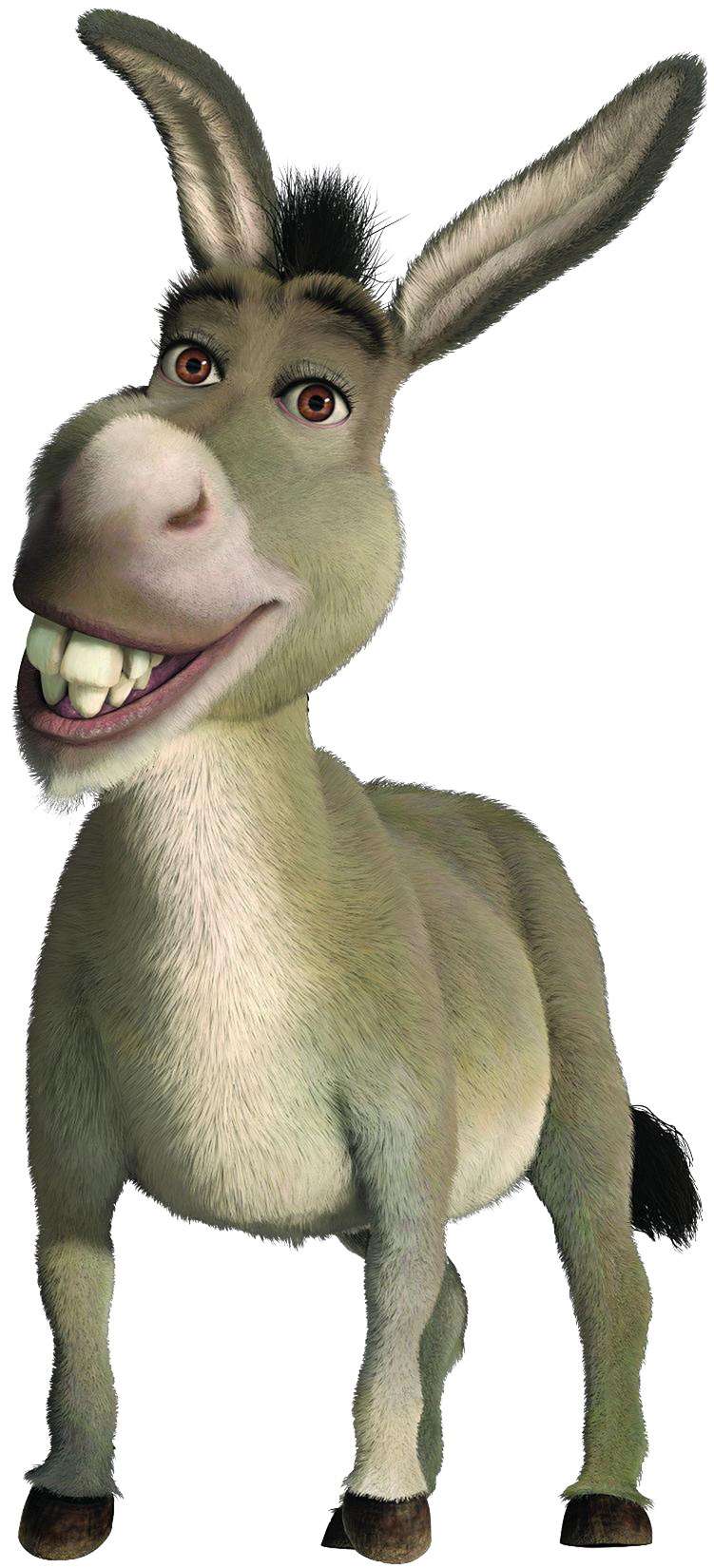 Funny Donkey Free Clipart HD PNG Image