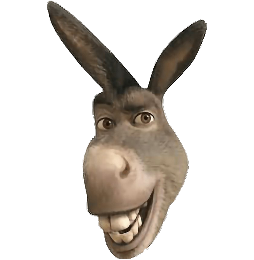 Funny Donkey Download Free Image PNG Image