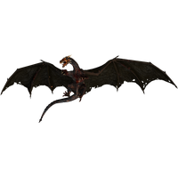 Dragon Photo
