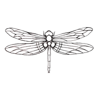 Dragonfly Tattoos Png Clipart Transparent Hq Png Download 