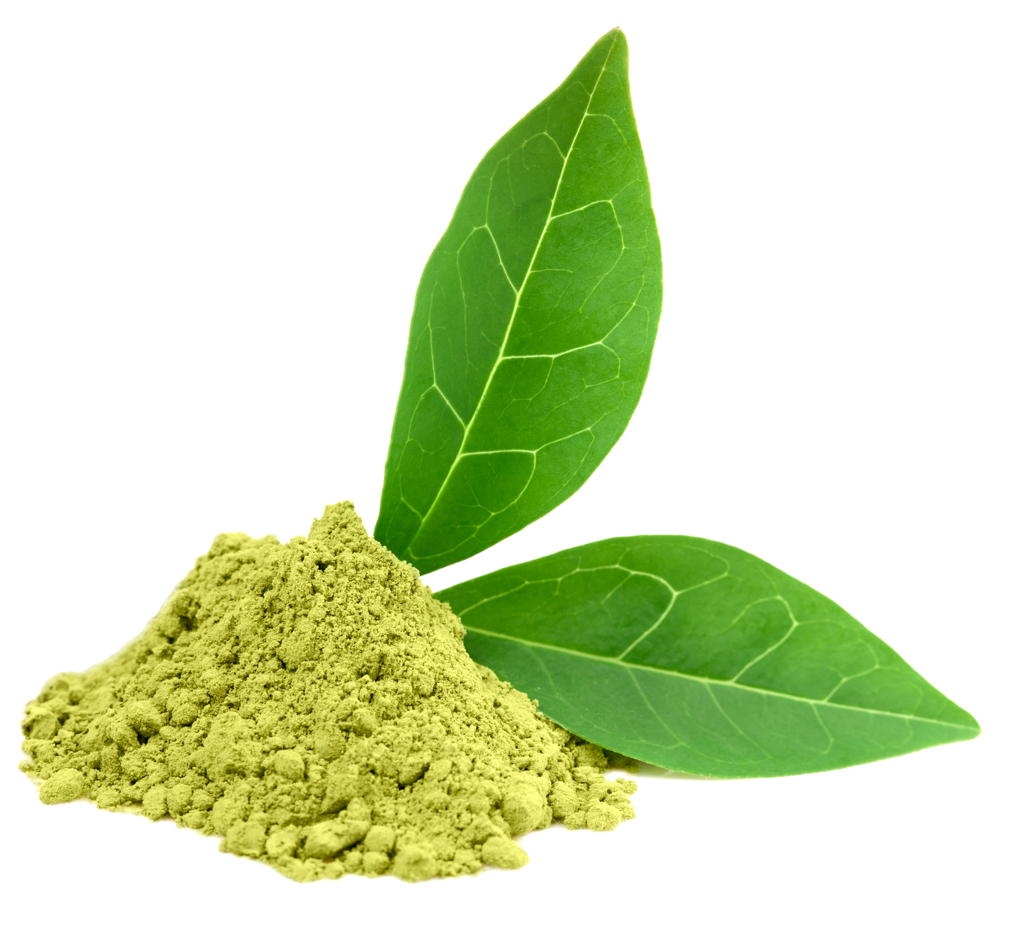Tea Leaves Green PNG Free Photo PNG Image