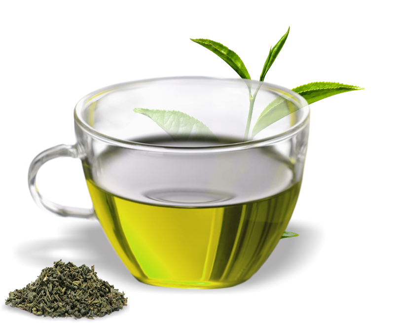 Organic Mint Green Tea HD Image Free PNG Image