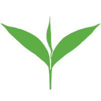 Tea Leaves Vector Green Free Transparent Image HQ PNG