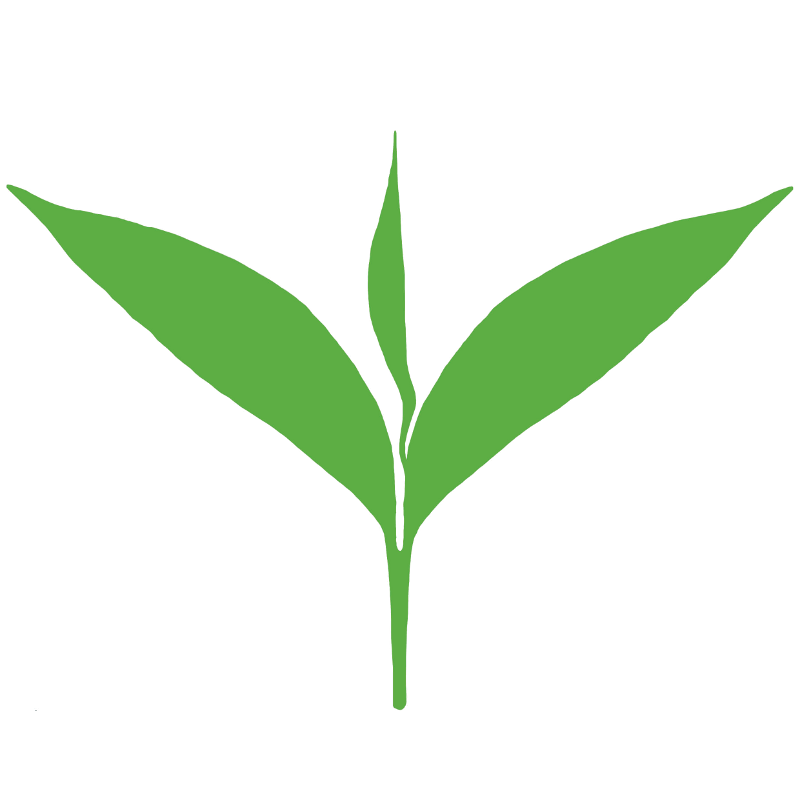 Tea Leaves Vector Green Free Transparent Image HQ PNG Image