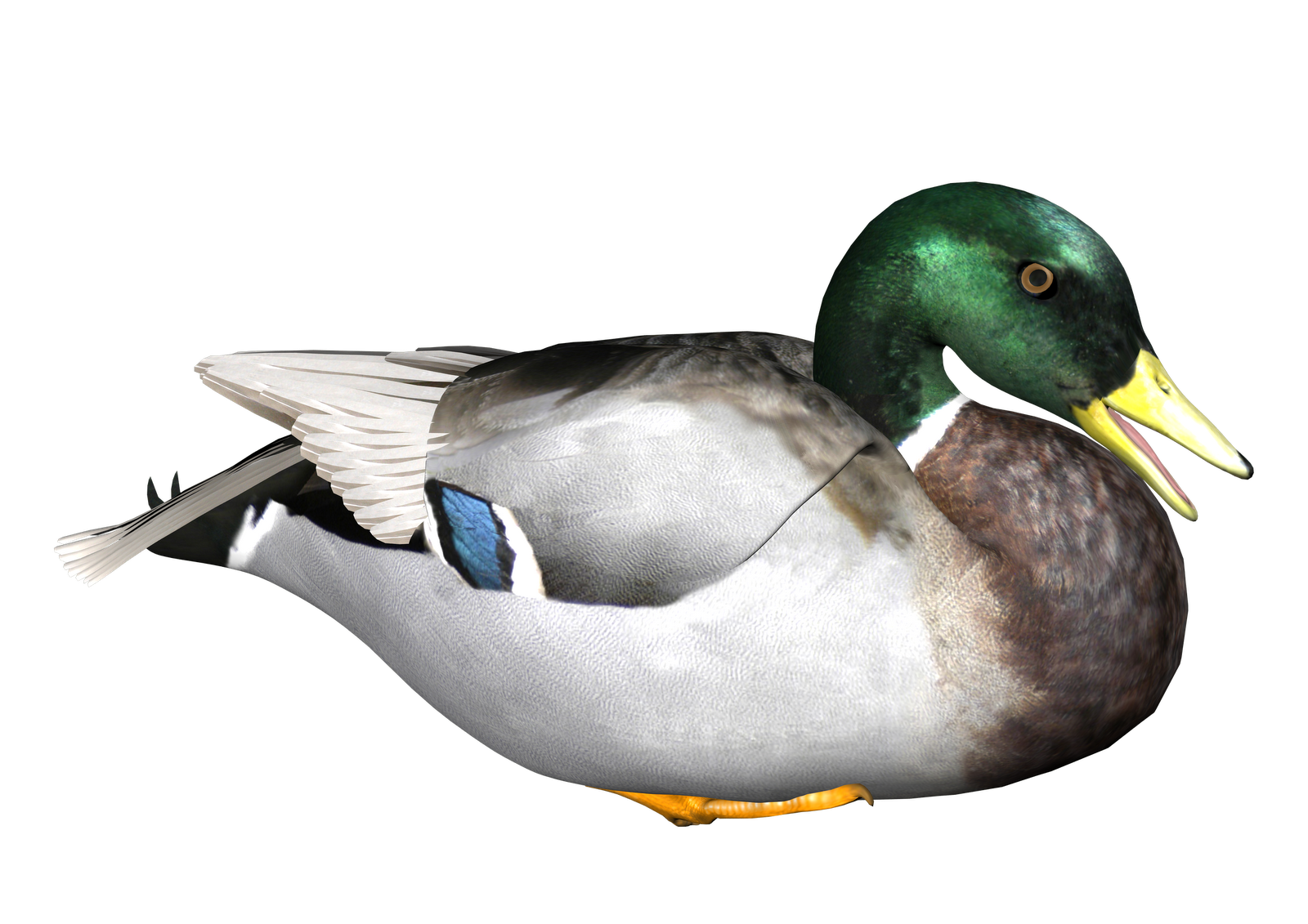 Download Duck Transparent Background Hq Png Image Freepngimg