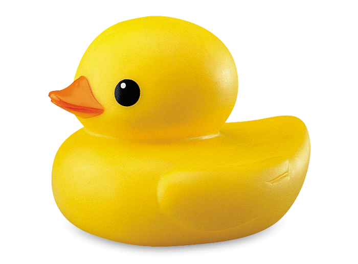 Duck PNG Image