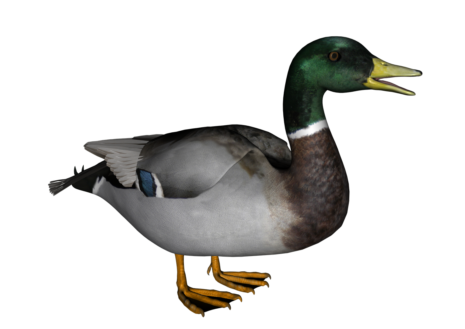 Duck Png 2 PNG Image