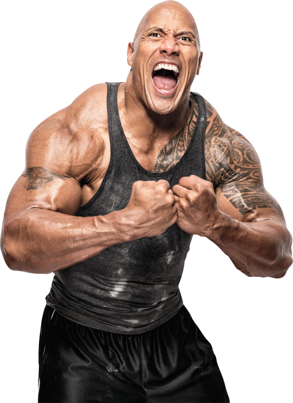 Body Dwayne Johnson PNG Image High Quality PNG Image