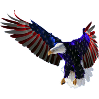 Harpy Eagle PNG Transparent Images Free Download
