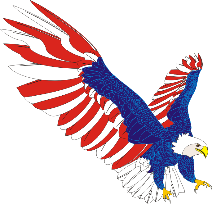 Harpy Eagle PNG Transparent Images Free Download, Vector Files
