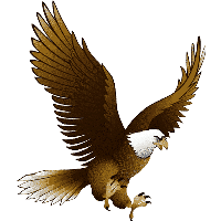 Download Eagle Png Image With Transparency Download HQ PNG Image in  different resolution  FreePNGImg