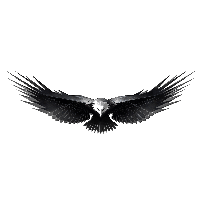 Eagle Png Image Download