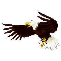 Eagle Png Image Download