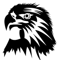Eagle Head Image Transparent PNG Image