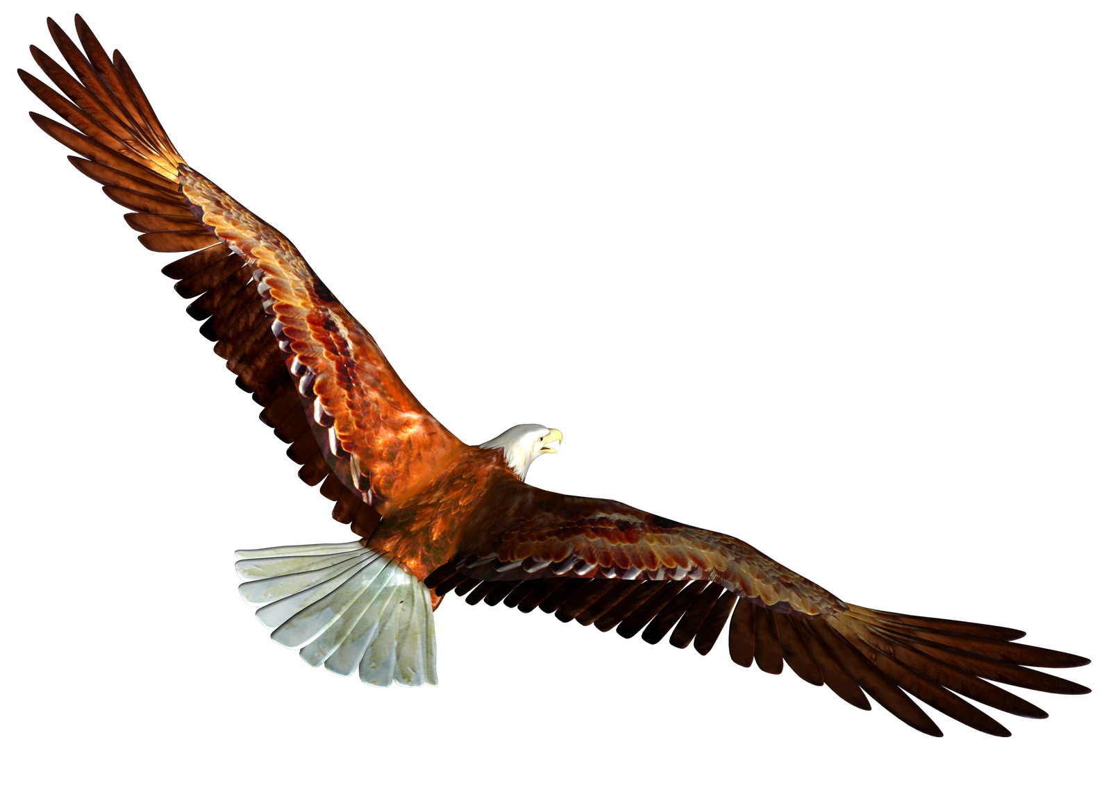 Soaring Eagle Clipart Transparent PNG Image