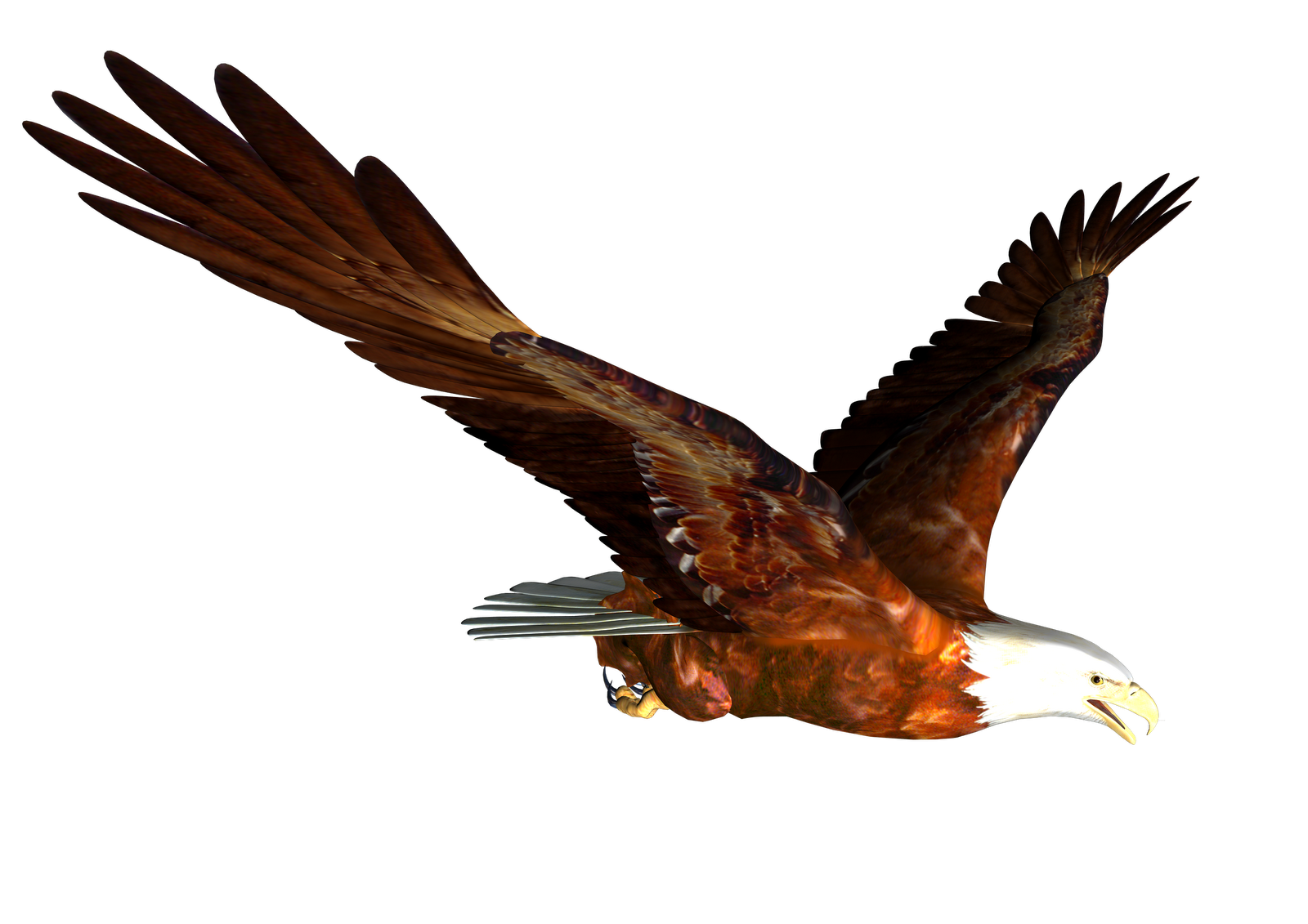 Soaring Eagle PNG Image