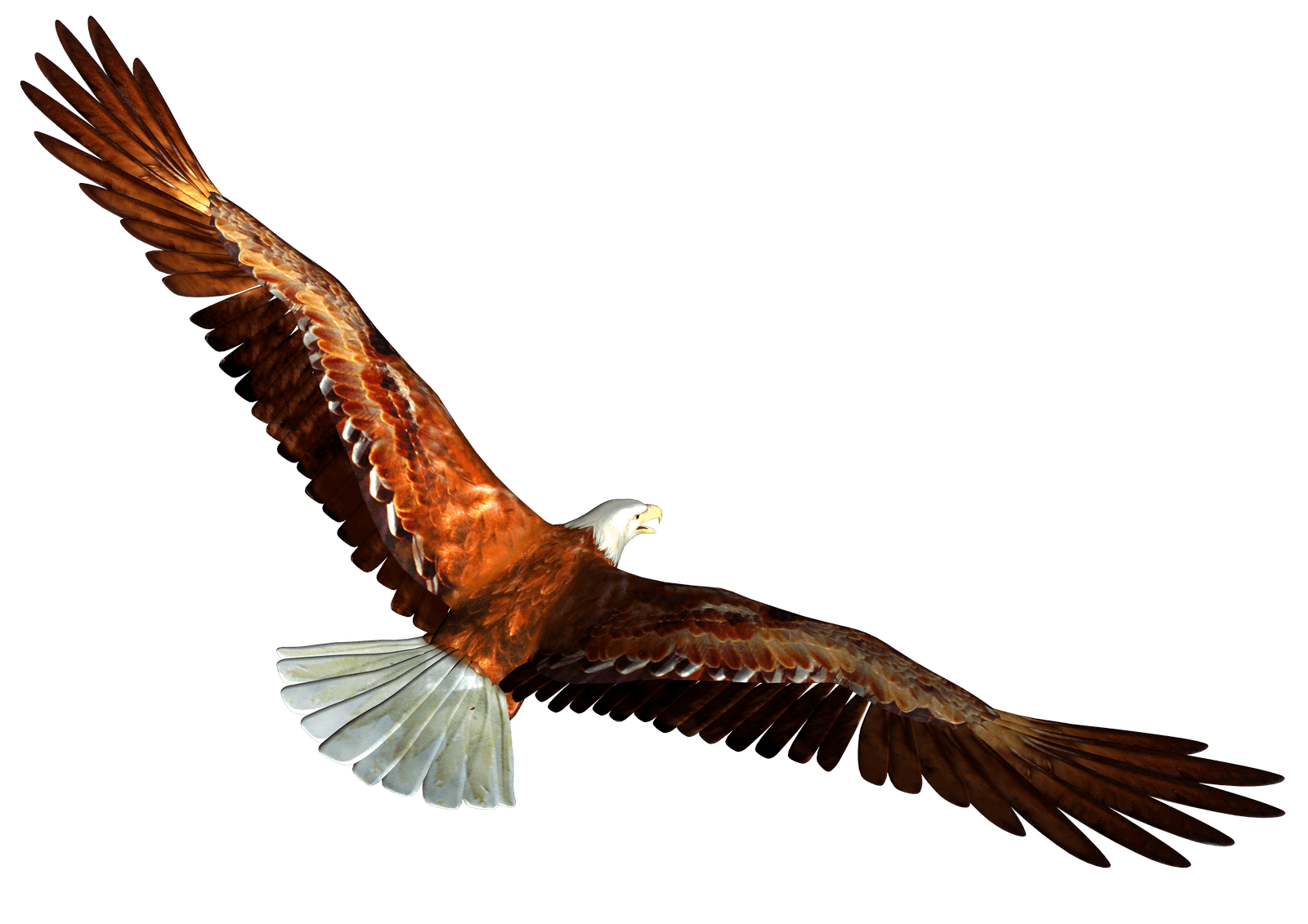 Eagle Png Image Download PNG Image