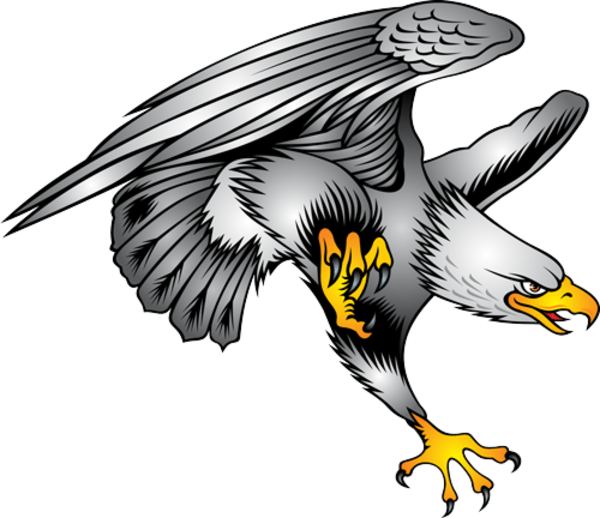 Eagle Designs Tattoo Symbol Bald Illustration PNG Image