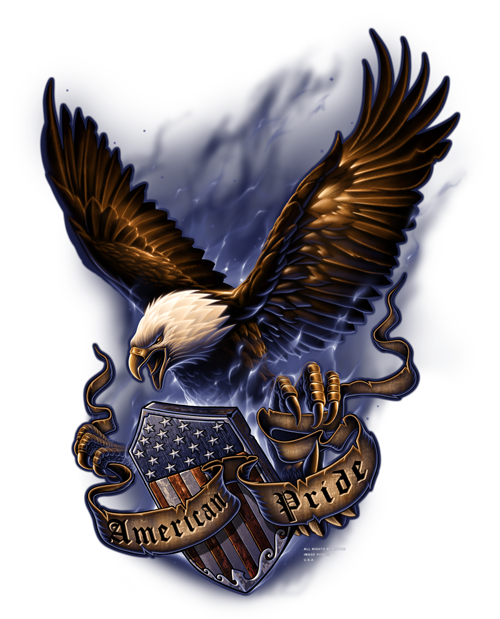 Eagle Of Tshirt Prey Graphics Bird PNG Image