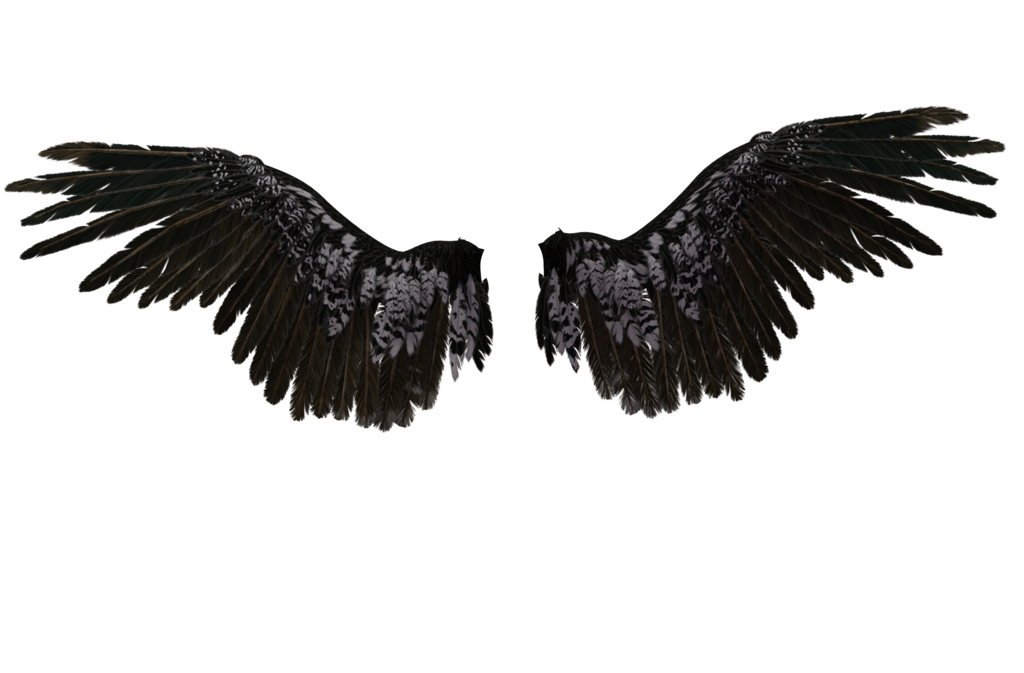 Eagle Neck Drawing Castiel Wings Free HQ Image PNG Image