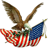 Eagle Memorial Parade Day Holiday Bird PNG