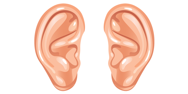 Download Ear Download Png Hq Png Image Freepngimg