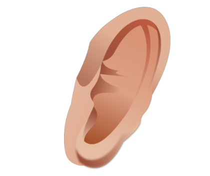 Ear Png PNG Image