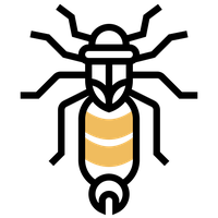 Earwig Transparent PNG Image