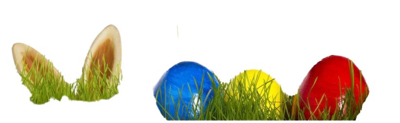 Egg Grass Easter Free HD Image PNG Image