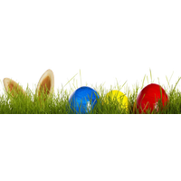 Egg Grass Easter HD Image Free PNG