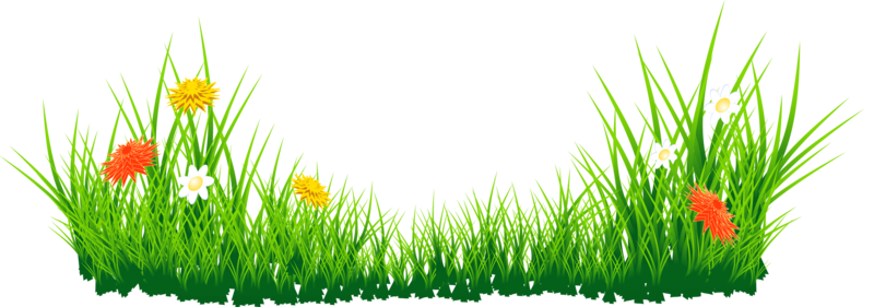 Egg Grass Easter Free Download PNG HD PNG Image