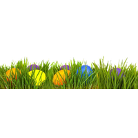 Egg Grass Easter Download Free Image PNG