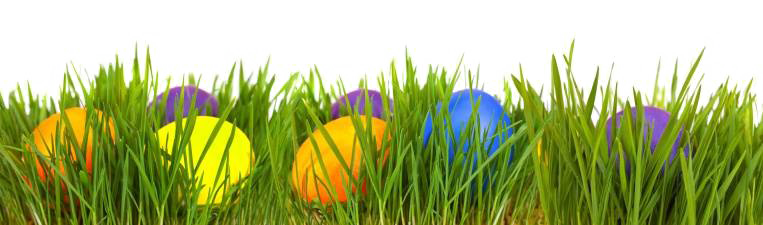 Egg Grass Easter Download Free Image PNG Image