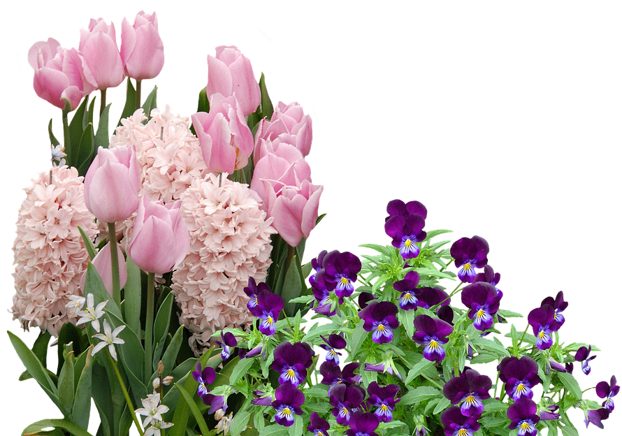 Flower Easter Free Download PNG HD PNG Image