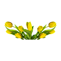 Flower Easter Free HQ Image PNG