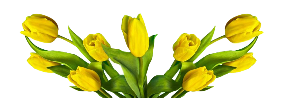 Flower Easter Free HQ Image Transparent PNG Image