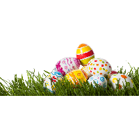 Egg Grass Easter Free Download Image PNG
