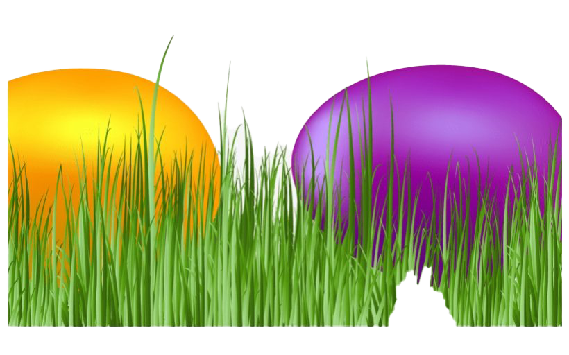 Pic Egg Grass Easter Download HQ PNG Image