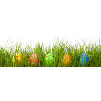 Beautiful Easter Eggs In Grass PNG Image