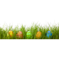 Easter Egg Background png download - 512*512 - Free Transparent Red Easter  Egg png Download. - CleanPNG / KissPNG