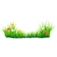 Easter Grass PNG Image