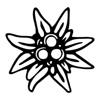 Edelweiss PNG