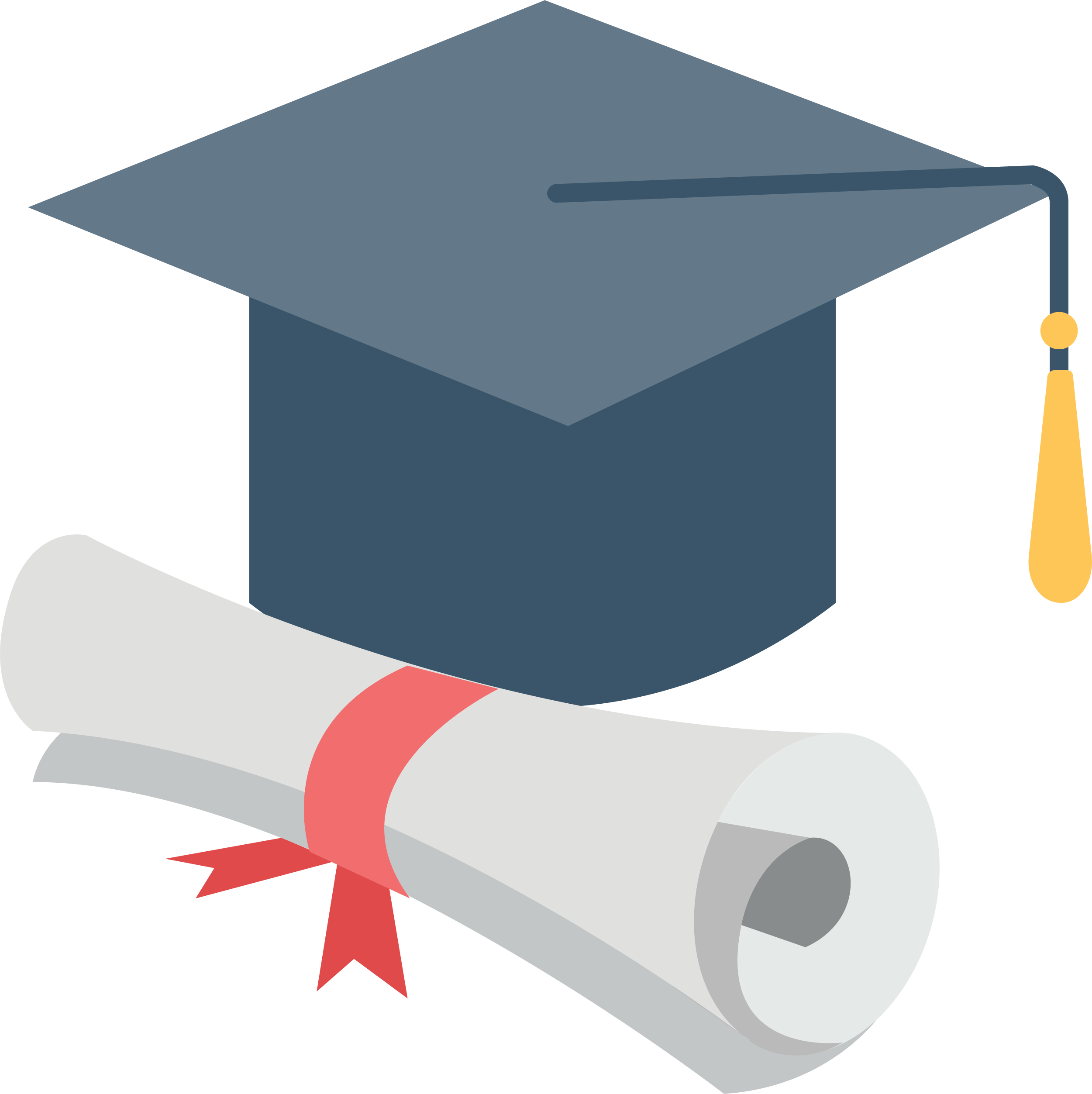 Download Ceremony And Certificate Degree Cap Graduation Bachelor Hq Png