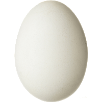Egg, HD Png Download - vhv