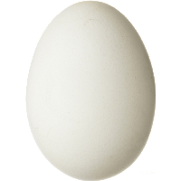 Egg PNG Images With Transparent Background