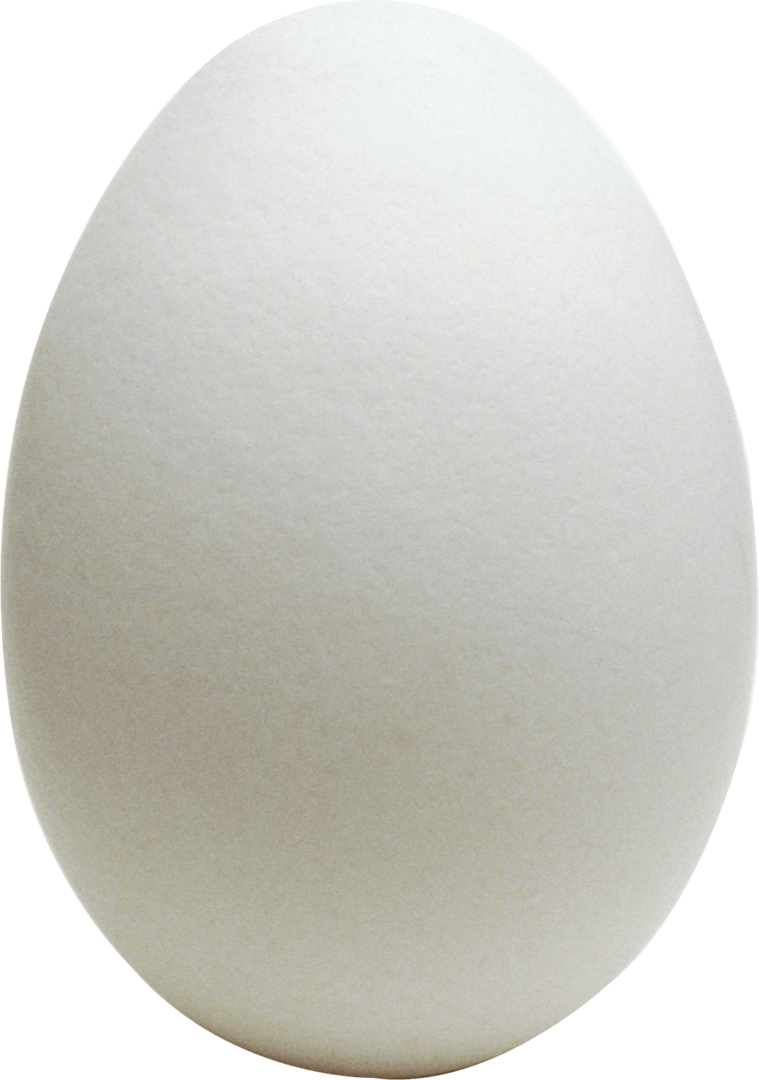 Egg Png Image Transparent HQ PNG Download | FreePNGImg