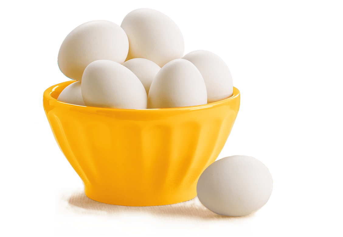 Bowl Egg Free Clipart HQ PNG Image